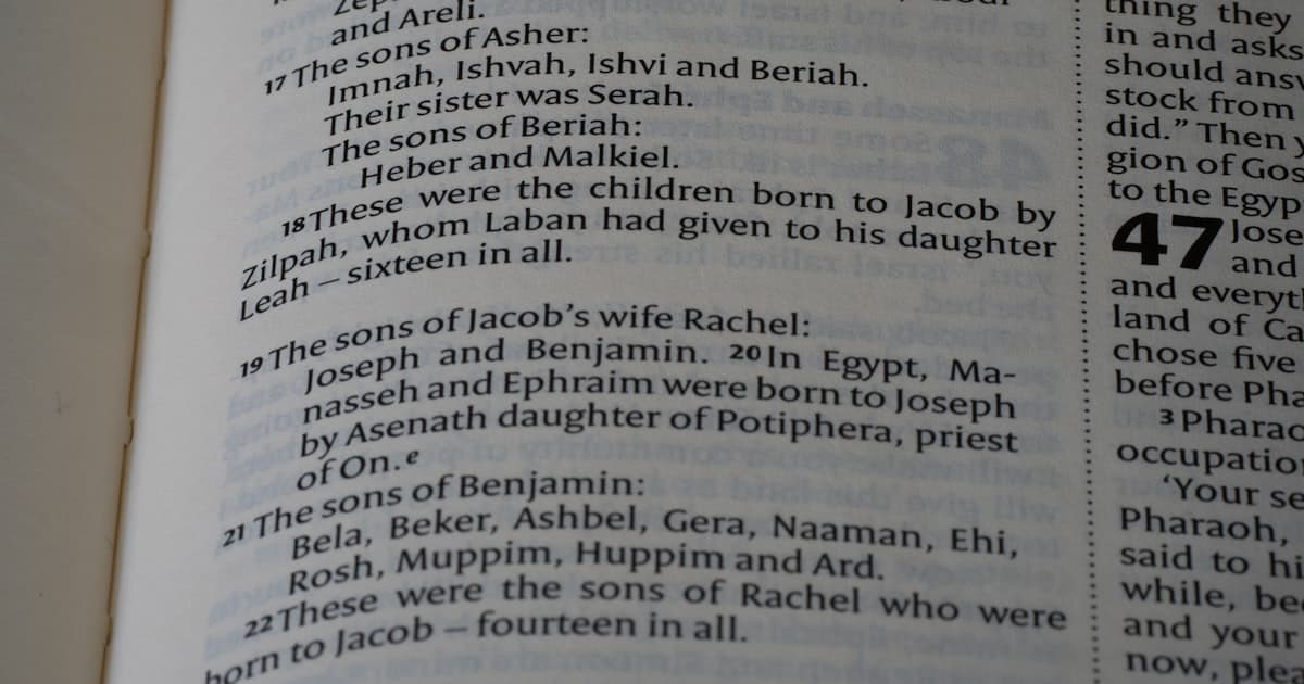 Etternavn i Norge — Historie og røtter