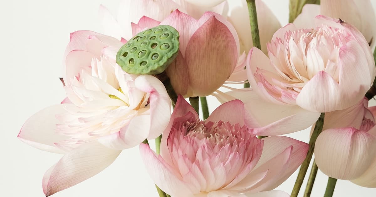 Populære navn i Norge på 1800-tallet